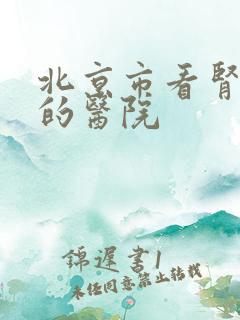 北京市看肾最好的医院