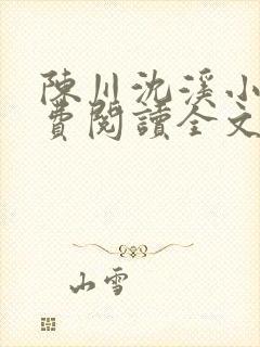 陈川沈溪小说免费阅读全文最新章节