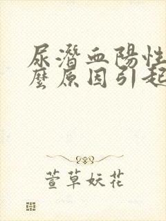 尿潜血阳性是什么原因引起的