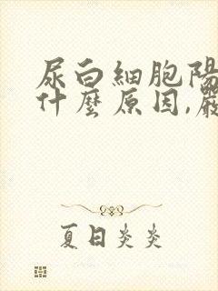 尿白细胞阳性是什么原因,严重吗