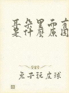 耳朵里面有声音是什么原因