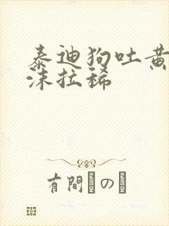 泰迪狗吐黄水带沫拉稀