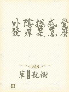 外阴总感觉潮湿发痒是怎么回事