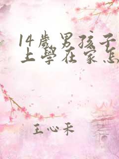 14岁男孩子不上学在家怎么办