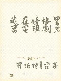 藏在暗格里的秘密电视剧免费看