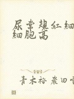 尿常规红细胞白细胞高