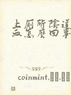 上厕所阴道里有血怎么回事