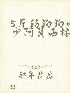 5斤的狗狗吃多少阿莫西林