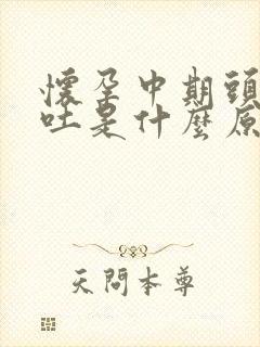 怀孕中期头晕呕吐是什么原因引起的