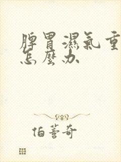 脾胃湿气重湿热怎么办