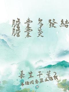 胆囊多发结石 胆囊炎