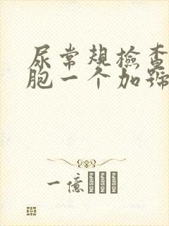 尿常规检查白细胞一个加号严重吗