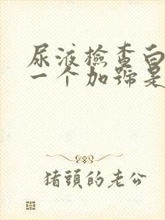 尿液检查白细胞一个加号是什么意思