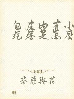 包皮内有小米粒疙瘩是怎么回事