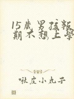 15岁男孩叛逆期不想上学怎么办