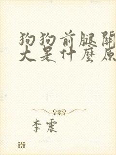 狗狗前腿关节肿大是什么原因