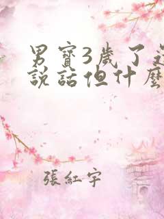 男宝3岁了还不说话但什么都懂