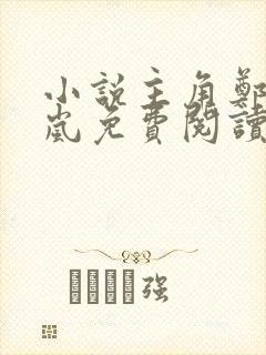 小说主角郑宇夏岚免费阅读无弹窗