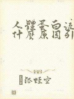 人体蛋白流失是什么原因引起的