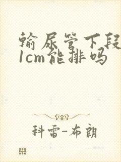 输尿管下段结石1cm能排吗