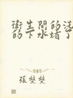 卫生间的洗手池的下水堵了怎么办