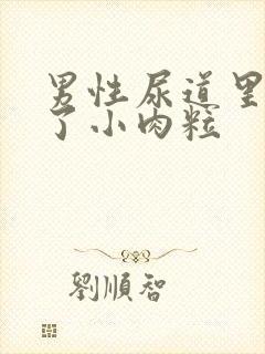 男性尿道里面长了小肉粒