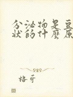 分泌物是豆腐渣状的什么原因