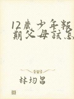 12岁少年叛逆期父母该怎么办