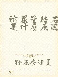 输尿管结石呕吐是什么原因