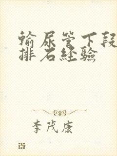 输尿管下段结石排石经验