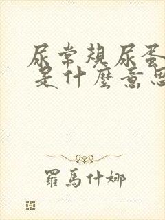 尿常规尿蛋白3 是什么意思