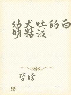 幼犬吐的白色透明粘液