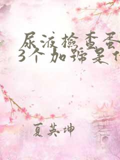 尿液检查蛋白质3个加号是什么意思