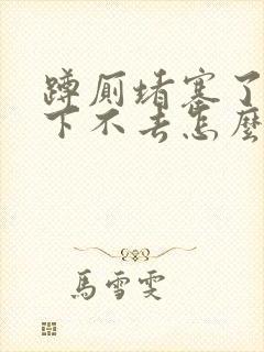 蹲厕堵塞了水也下不去怎么办