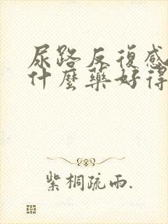 尿路反复感染吃什么药好得快