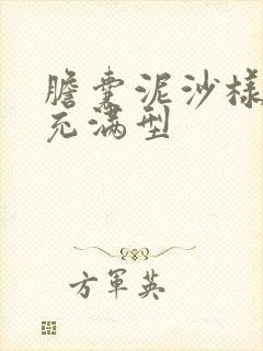 胆囊泥沙样结石充满型