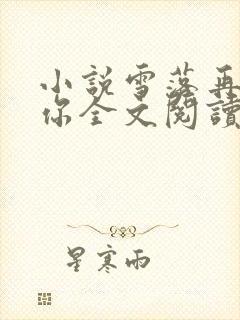 小说雪落再说爱你全文阅读