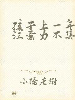 孩子上一年级了注意力不集中怎么办