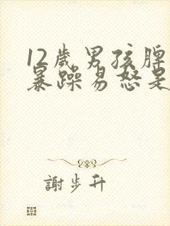 12岁男孩脾气暴躁易怒是什么原因