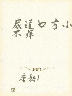 尿道口有小肉粒不痒