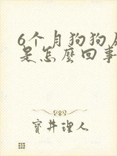 6个月狗狗尿血是怎么回事