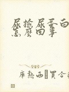 尿检尿蛋白高是怎么回事