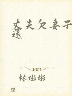 丈夫欠妻子钱不还