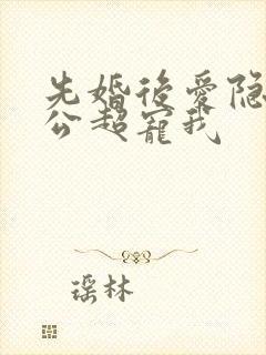 先婚后爱隐婚老公超宠我