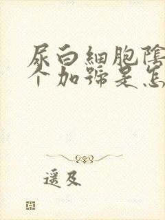 尿白细胞阴性一个加号是怎么回事