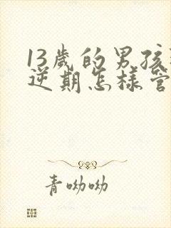 13岁的男孩叛逆期怎样管理