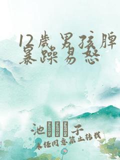 12岁男孩脾气暴躁易怒