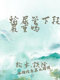 输尿管下段结石严重吗