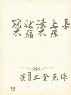 冠状沟上长红斑不痛不痒