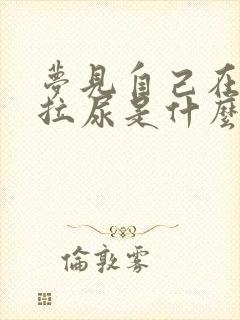 梦见自己在外面拉尿是什么预兆